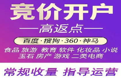 搜索引擎营销（SEM）的精准投放技巧案例
